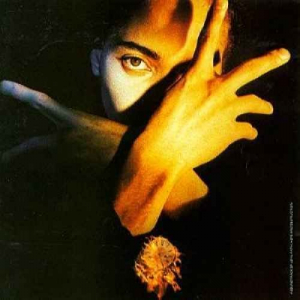 Terence Trent D'Arby's Neither Fish Nor Flesh: A Soundtrack Of Love, Faith, Hope, And Destruction