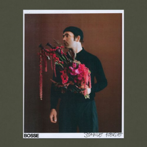 Stabile Poesie (Deluxe Edition)