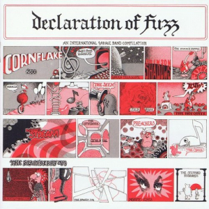 Declaration Of Fuzz