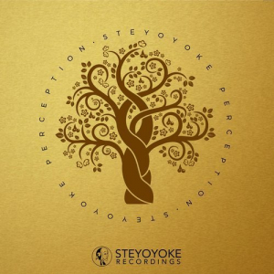 Steyoyoke Perception Vol. 4