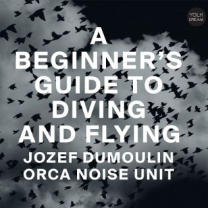 A Beginners Guide To Diving And Flying