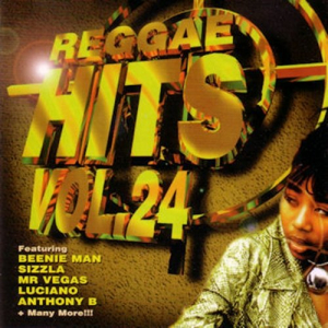 Reggae Hits Vol.24