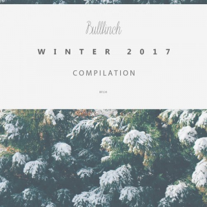 Bullfinch Winter Compilation 2017
