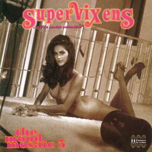 The Mood Mosaic 5 - Supervixens