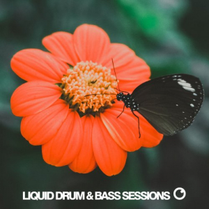 Liquid Drum & Bass Sessions 2019 Vol 5