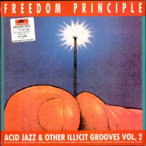 Freedom Principle: Acid Jazz & Other Illicit Grooves vol.2