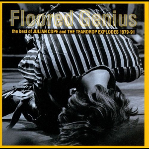 Floored Genius: The Best of 1979-91