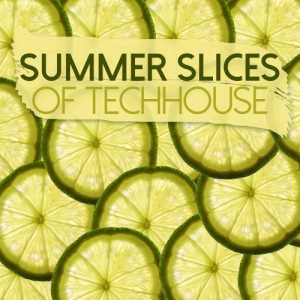 Summer Slices of Techhouse