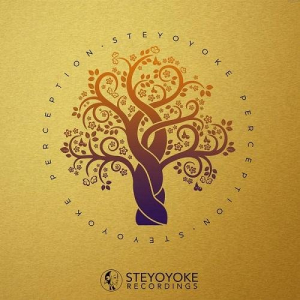 Steyoyoke Perception Volâ€‹.â€‹06