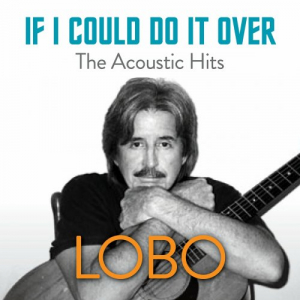 If I Could Do It Over: The Acoustic Hits