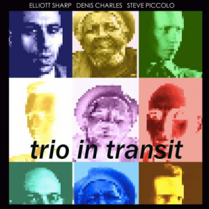 Trio in Transit (Live)