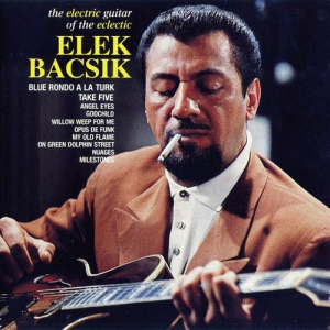 The Electric Guitar of the Eclectic Elek Bacsik