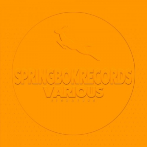 Spirngbok Records Various Signature