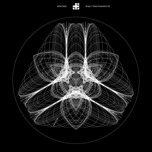 Pulse Modulation