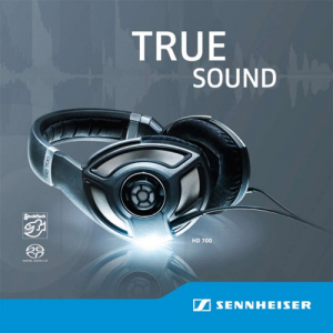 Sennheiser Hd 700 True Sound