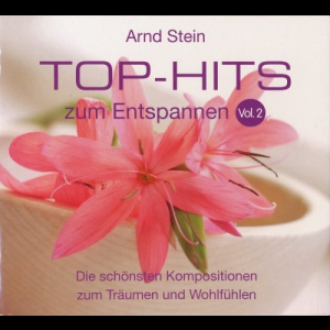 Top Hits zum Entspannen Vol. 2