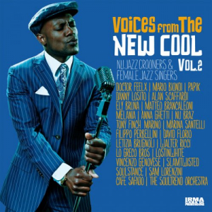 Voices From The New Cool Vol. 2 (Nu Jazz Crooners & Female Jazz Singers)