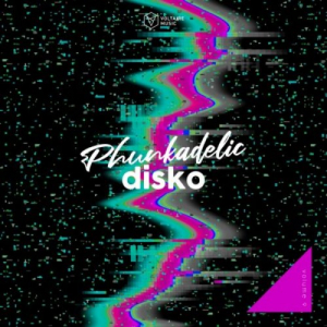 Phunkadelic Disko, Vol. 9