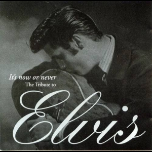 It's Now Or Never: The Tribute To Elvis