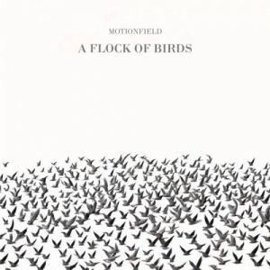 A Flock Of Birds