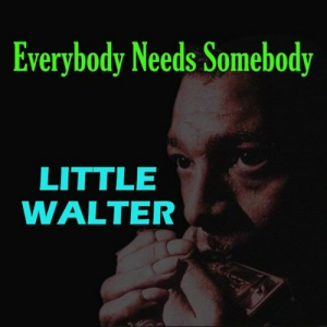 Everybody Needs Somebody