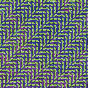 Merriweather Post Pavilion (15th Anniversary Edition)