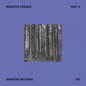 Sensitive Friends - Part A