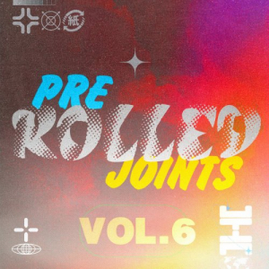 Preâ€‹-â€‹Rolled Joints, Vol. 6: 100% Chill Electronix