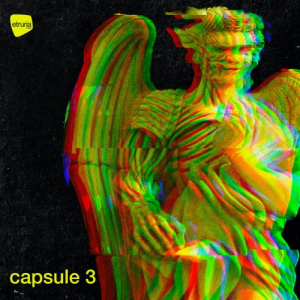 Capsule 3