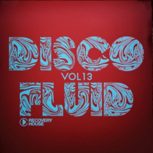 Disco Fluid, Vol 13