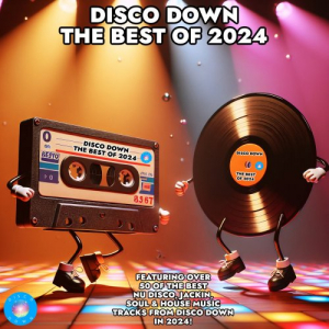 Disco Down The Best of 2024