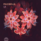 Pulcinella - Ca '2019