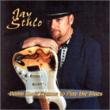 Jay Stulo - Damn Good Reason To Play The Blues '2000
