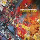 Michael McDermott - What In The World... '2020
