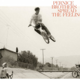 Pernice Brothers - Spread The Feeling '2019