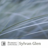 Robert Davies - Sylvan Glen '2019
