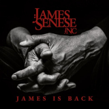 James Senese - James is back '2021
