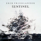 Erik Friedlander - Sentinel '2020