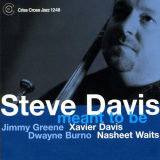 Steve Davis - Meant To Be '2004