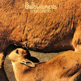 Louis Chedid - Balbutiements '2019