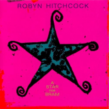 Robyn Hitchcock - Star For Bram '2000