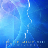 Liquid Mind - Liquid Mind XIII: Mindfulness '2020