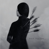 Black Swan Lane - Hide in View '2021