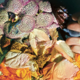 Soela - Genuine Silk '2020