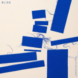 Total Hip Replacement - Bliss '2020
