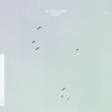 Lycoriscoris - Flight '2018
