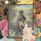 Nick Ferrio - Television of Roses '2021
