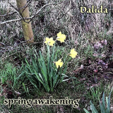 Dalida - Spring Awakening '2020