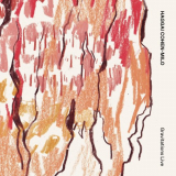 Haggai Cohen-Milo - GRAVITATIONS (Live) '2025