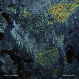 Sander Saarmets - Bleu PreÌcieux '2025
